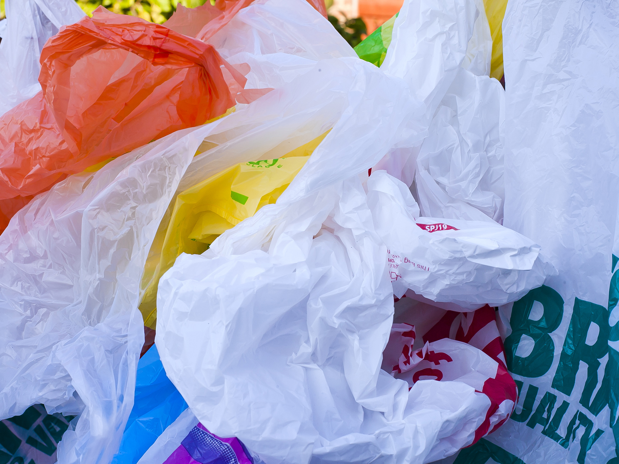 Plastic Bags Are Sacked in Jackson