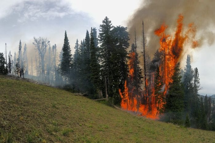 Mild Fire Season So Far, But Human-Caused Fire Key Concern
