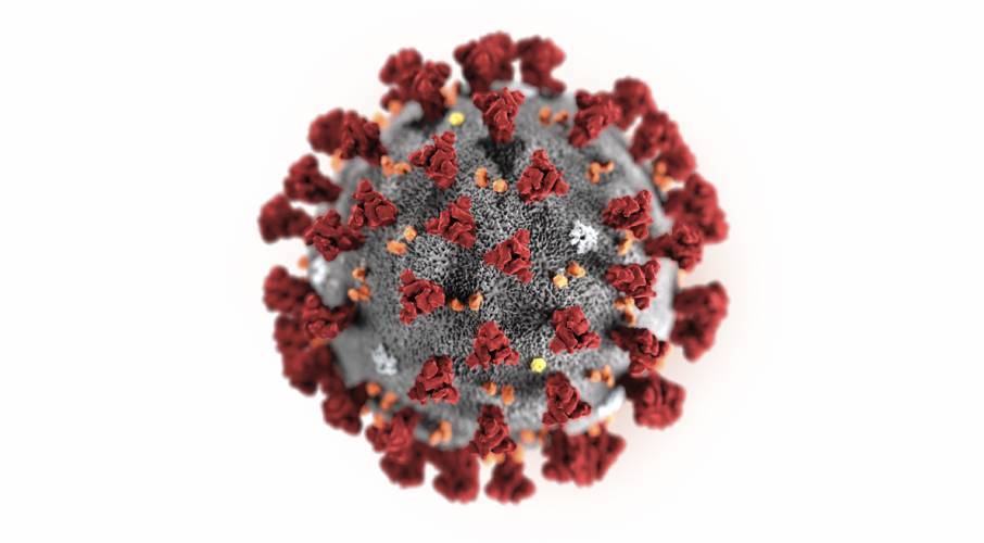 COVID-19 Virus Model CDC