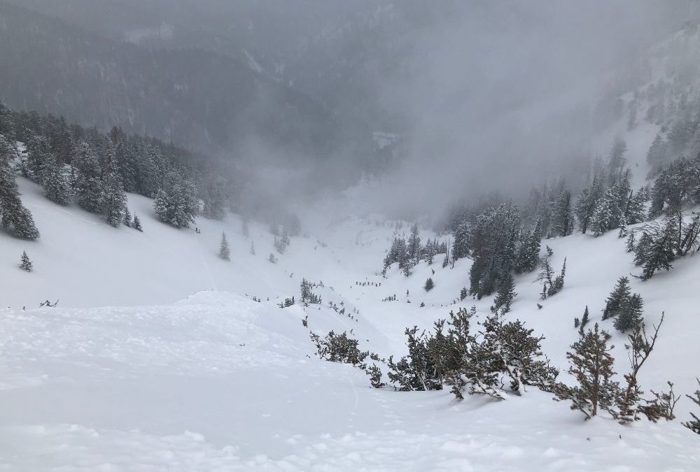 Snowboarder Dies in Mt. Taylor Avalanche