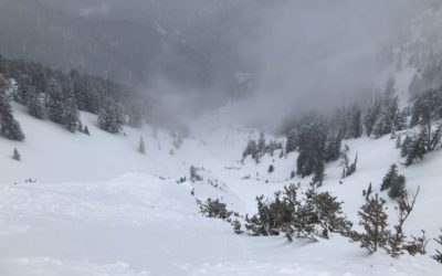 Snowboarder Dies in Mt. Taylor Avalanche