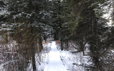 Bridger-Teton National Forest Prepares for Expected Record Winter