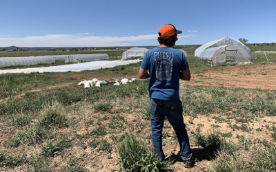 Worsening Western Drought Conditions Weigh on Farmers’ Mental Health