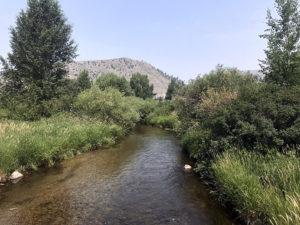 View of Flat Creek