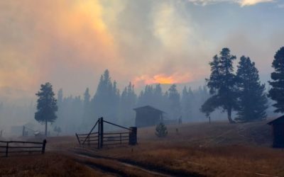 Wildfire Smoke Is Dangerous. But There Are Ways to Mitigate Its Effects