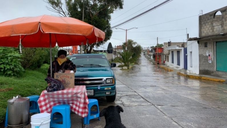 Tamales y Tlaxcala: Un Manjar de Todos los Días