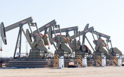 Oil and Gas Leasing Holds Back Conservation Even When No Drilling Occurs, Report Finds