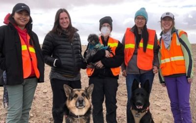 Dogs Help with Search and Rescue on the Navajo Nation, Where Resources are Scarce