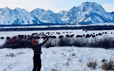 As Jackson gets pricier, Grand Teton National Park says it will need to house more workers