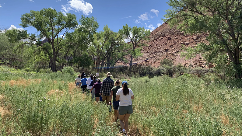 The Canyonlands Research Center offers summer internships to Native American students interested in conservation