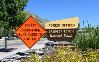 New Bridger-Teton AM radio station broadcasts forest info from Harrison Ford