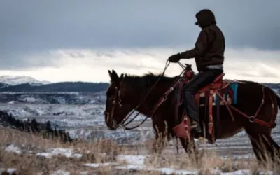 One ‘tool’ in the ‘toolbox’ — a deep dive on conservation easements in Wyoming