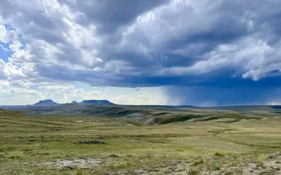 It was the wettest summer on record for Wyoming — what does this mean?