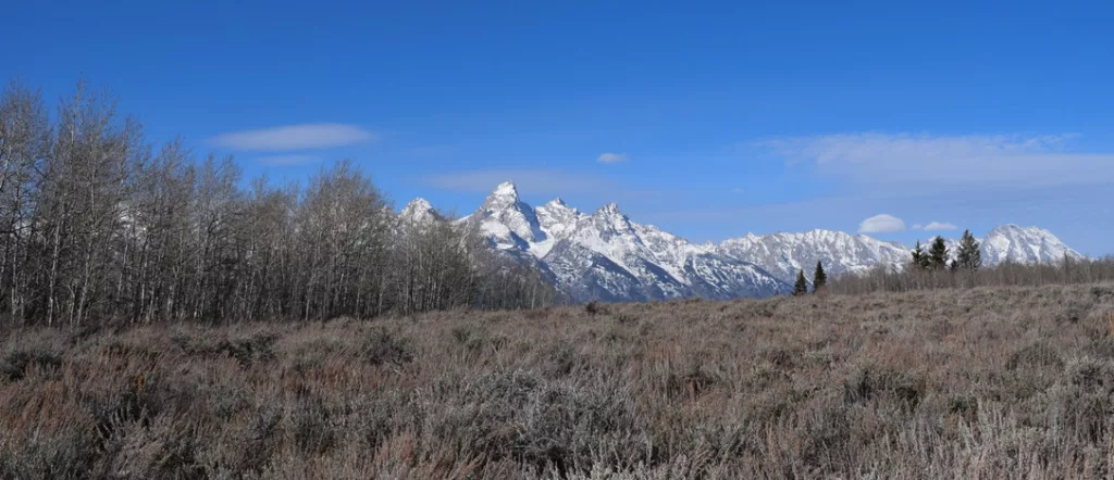 The view of the Tetons from the Kelly Parcel on a sunny November day. The land is surrounded by Grand Teton National Park, national forest and the elk refuge. (Hanna Merzbach/KHOL)