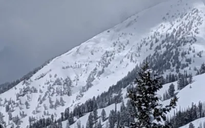Skier from Alpine dies in backcountry avalanche