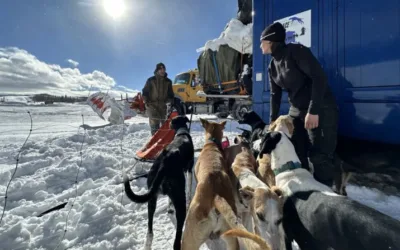 French team leads pack in Wyoming sled dog race