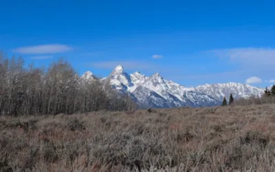 Wyoming is poised to sell the Kelly Parcel to Grand Teton National Park for $100 million