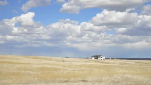 A house sits in a vast field of yellow grass; clouds gather in the blue sky above.