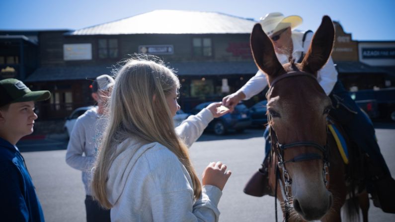 Equine ambassadors—and their riders—reach out to the public on behalf of the police department