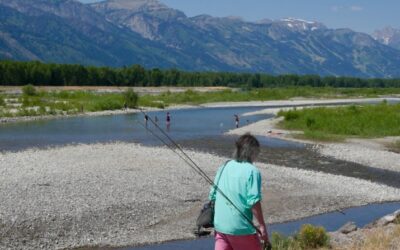 Angling in hot water: how higher temperatures are impacting river ecosystems and fishing outfitters