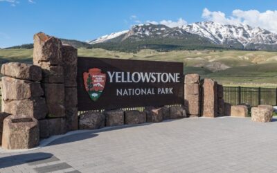 One dead in Yellowstone after gunfire exchange with law enforcement rangers