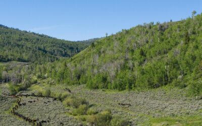 Wyoming leases Munger Mountain parcel in a win for local conservation groups