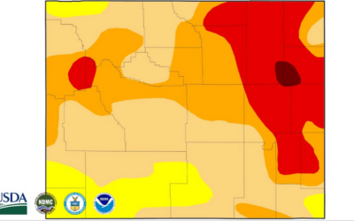 Drought conditions blanket Teton County; ‘Extreme’ on Togwotee Pass