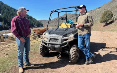 Empty winter ranches could mean healthier elk, cattle