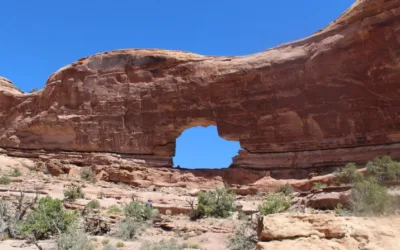 Trump administration moves to strike Biden-era conservation rule, considers selling public lands