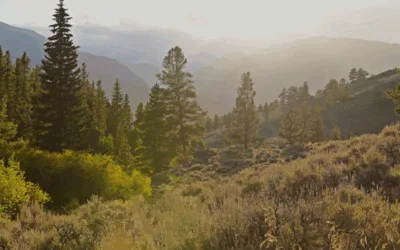 Recreationists can now access 40,000 acres of previously locked-up public land