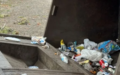 Yellowstone grizzly killed after learning how to flip 800-pound dumpsters