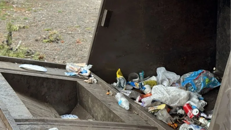 Yellowstone grizzly killed after learning how to flip 800-pound dumpsters