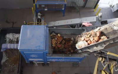 Compost program offers 50% off for a year