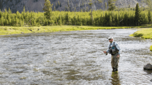 A fisherman casts in Yellowstone National Park.