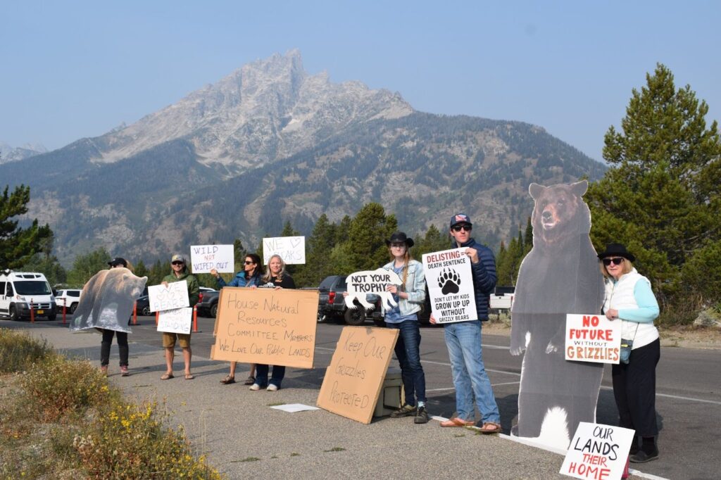 Kristin Combs (center) leads Wyoming Wildlife Advocates. She and others protested to keep grizzlies protected as an endangered species outside the Sept. 5 meeting. (Dante Filpula Ankney/KHOL News)