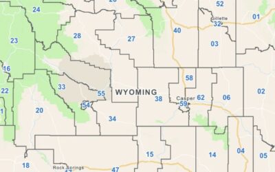 Future of Wyoming’s legislative districts at the heart of Newcastle committee hearing