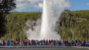 Crowds at Old Faithful Geyser in early summer. (National Parks Gallery)