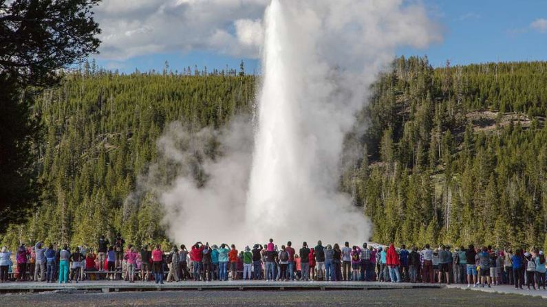 Crowds at Old Faithful Geyser in early summer. (National Parks Gallery)