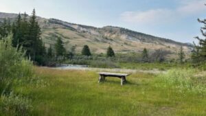 A table along Crystal Creek in the Gros Ventre, one of 13 areas with roadless designations in Teton County. (Dante Filpula Ankney / KHOL)