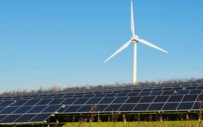 Wyoming, Montana attorneys general accuse big tech companies of greenwashing