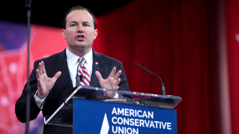 New bill from Mike Lee would see roads built in borderland wilderness areas in the name of immigration enforcement