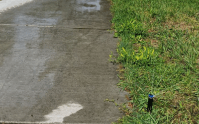 Council contemplates permanent water restrictions as emergency ordinance ends