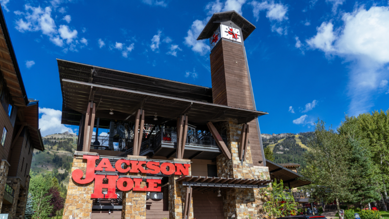 _Web template (795 x 447 px)