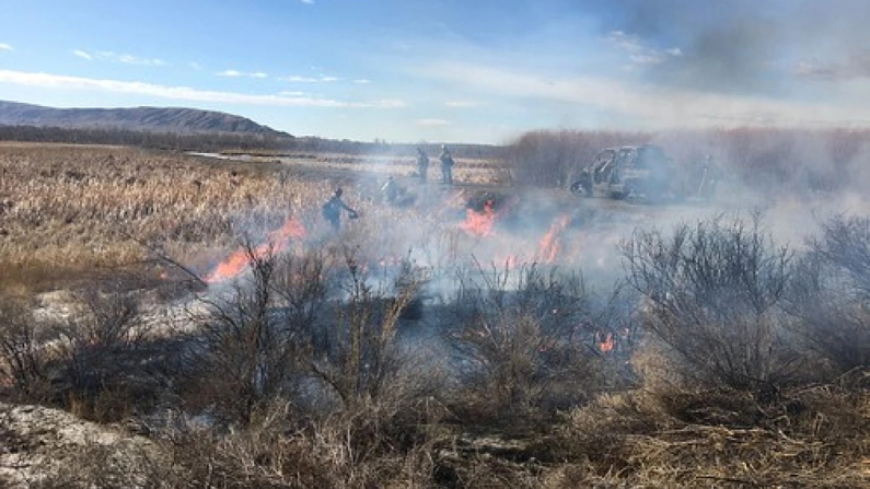 Can fire mitigation help ranchers lower insurance premiums?