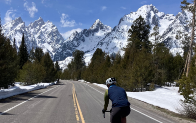 Park Road opens earlier than expected