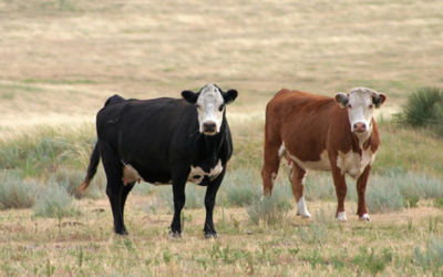 Gordon signs 2 bills into law as deadlines pile up