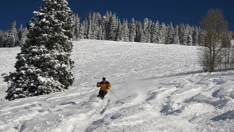 Problems raised in new class action lawsuit were predicted decades ago