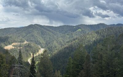 Teton Pass crash spurs calls for safety following fatal crash