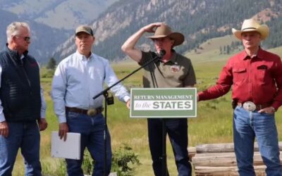 Feds move to return threatened grizzly bear management to the states