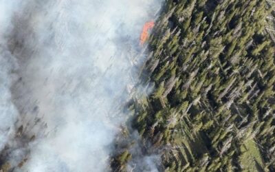 After ‘extreme’ early days, crews nearly contain Kinky Creek fire